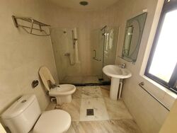 The Balmoral (D10), Condominium #573403551